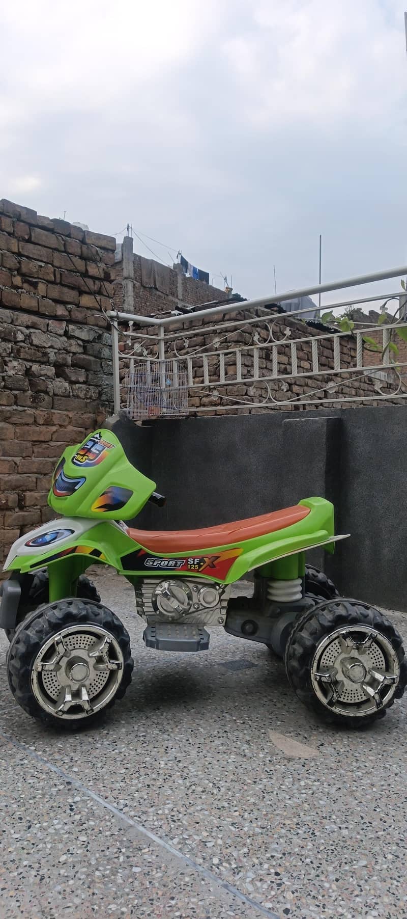 electric ATV 1