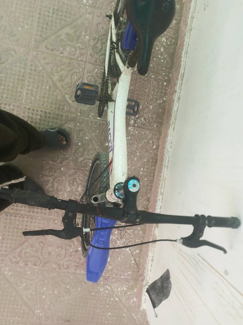 modify cycle 1