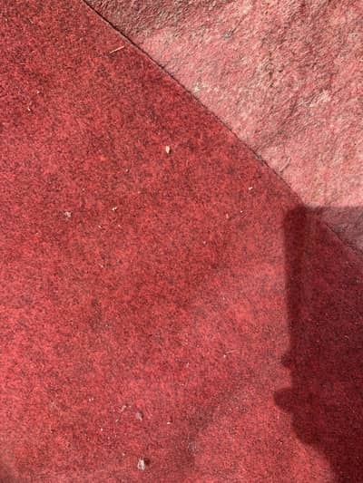 Room carpet