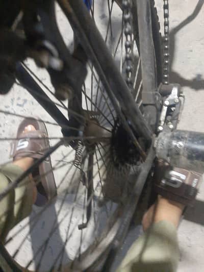 all ok ha cycle bs sall krni ha