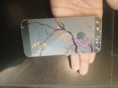Apple iPhone 5s
