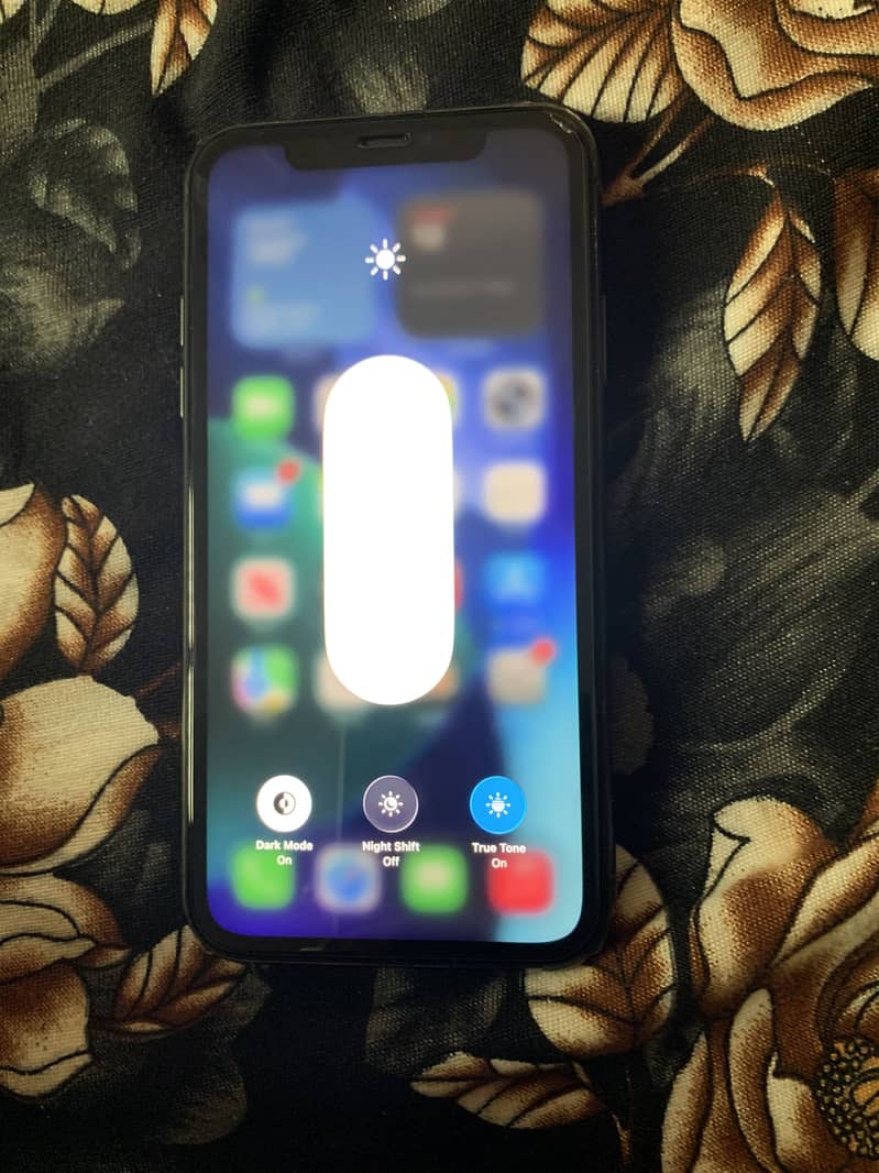Apple iPhone 11 2