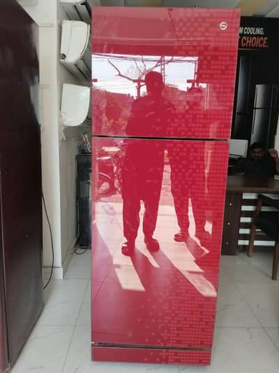 PEL larg size energy saving class doors fridge/0321/0833328/