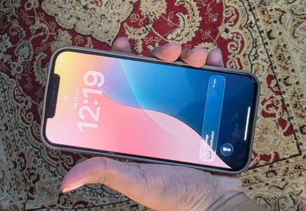 Apple iPhone 12 Pro Max