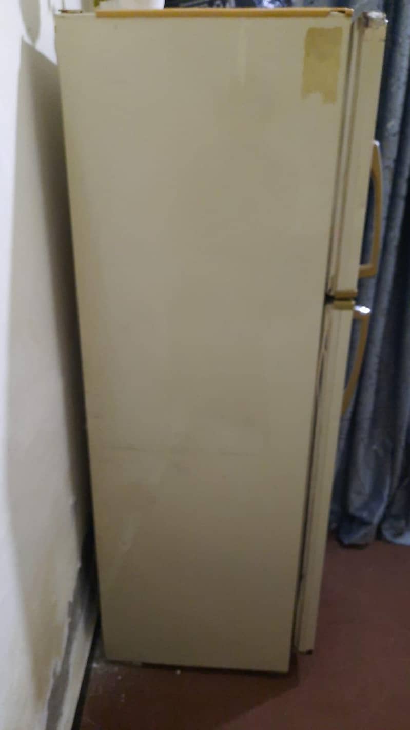 fridge 1