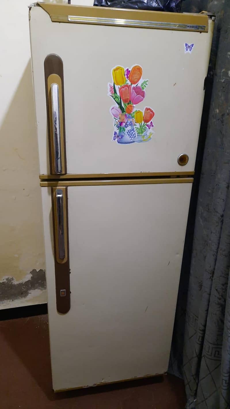 fridge 2