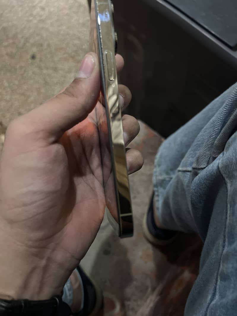 Apple iPhone 14 Pro Max 1