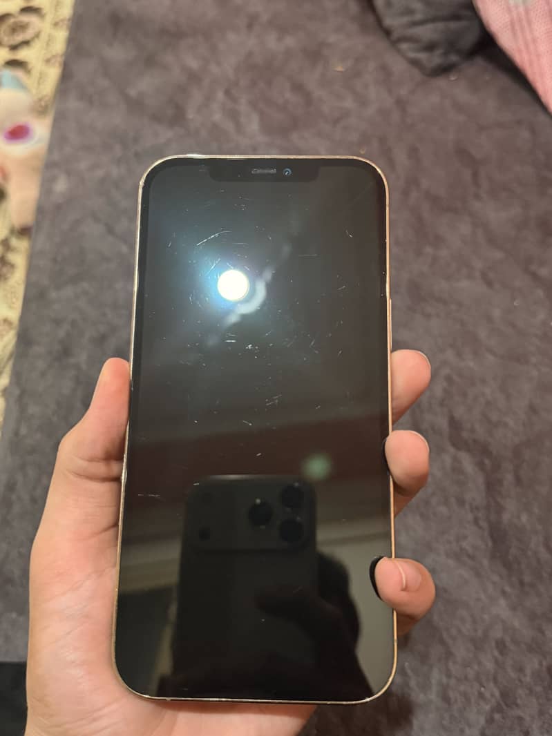Apple iPhone 12 Pro Max 0
