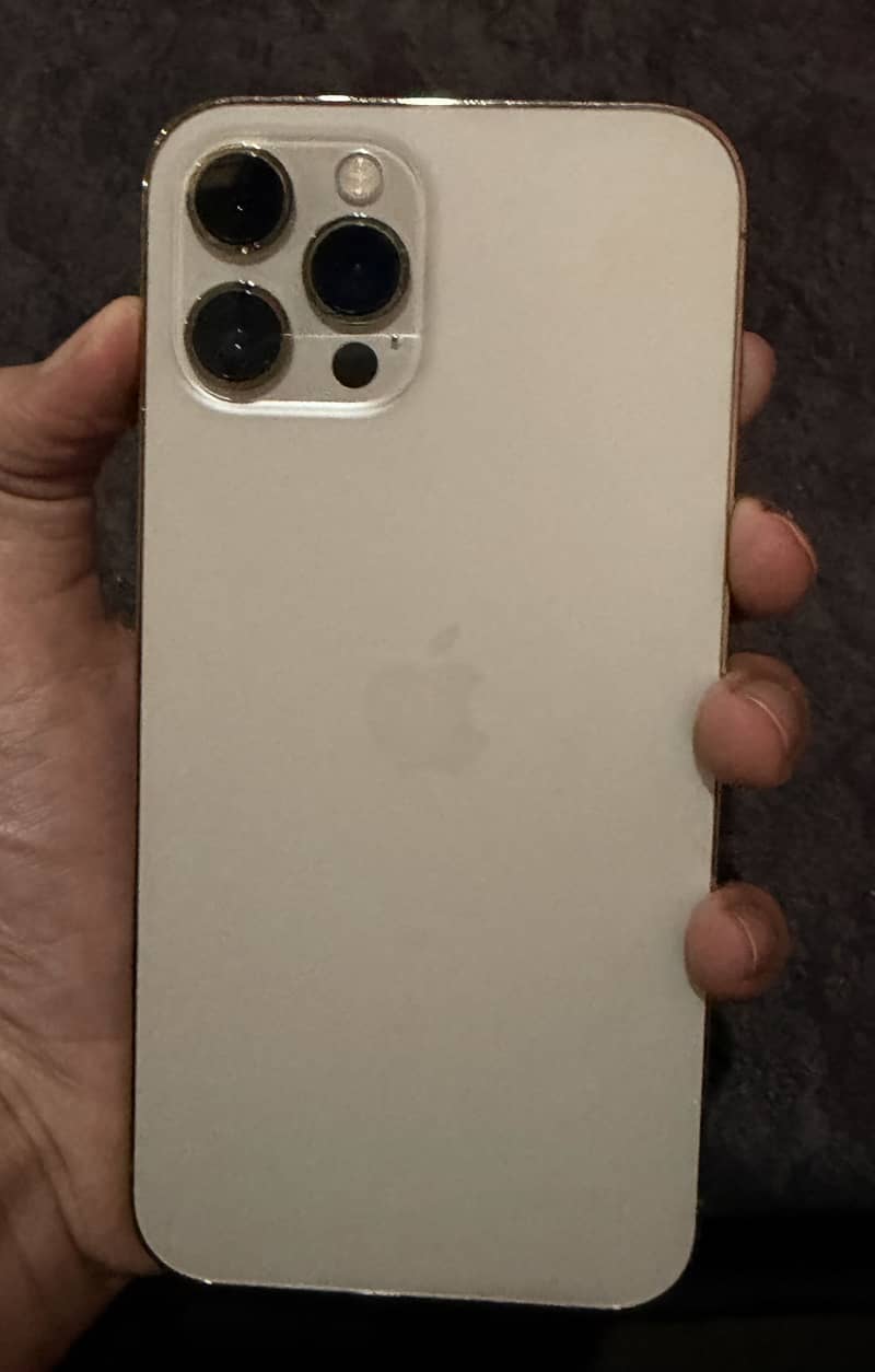 Apple iPhone 12 Pro Max 1
