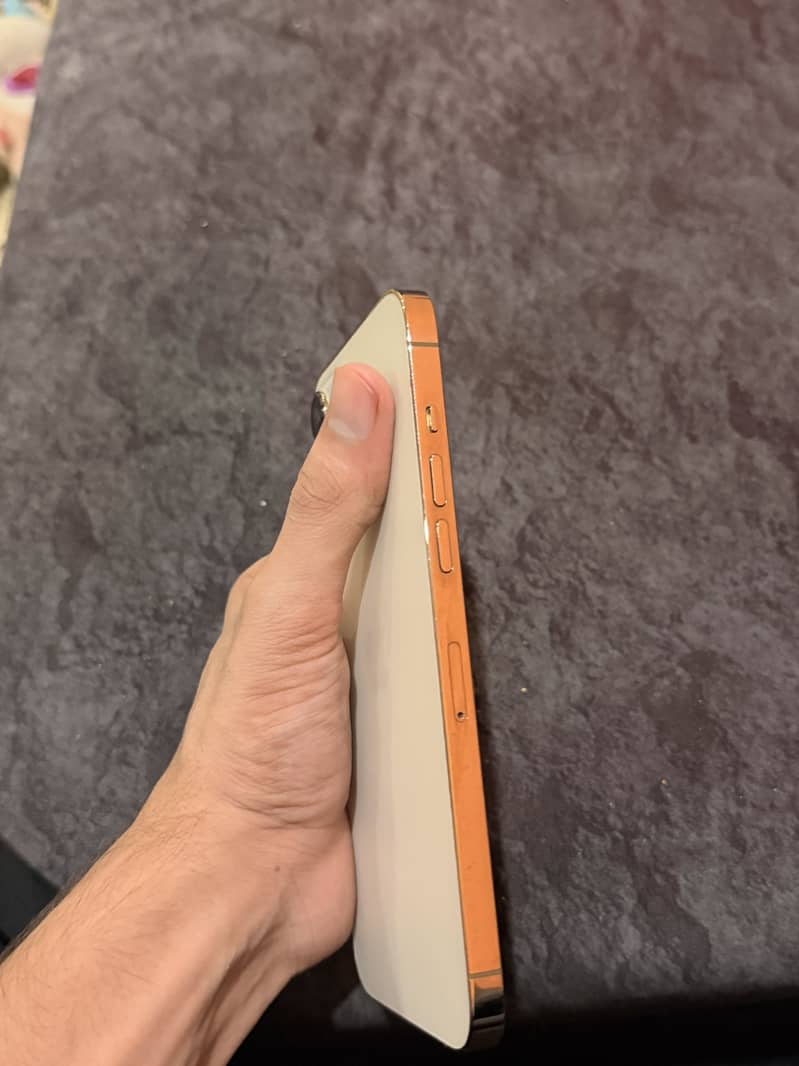 Apple iPhone 12 Pro Max 3