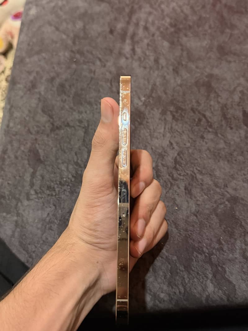 Apple iPhone 12 Pro Max 7