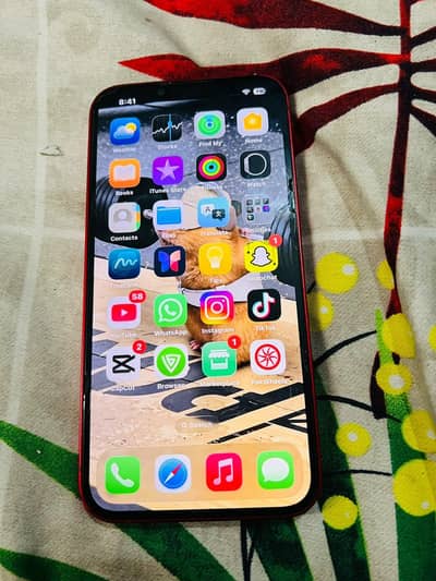 Apple iPhone 13 jv