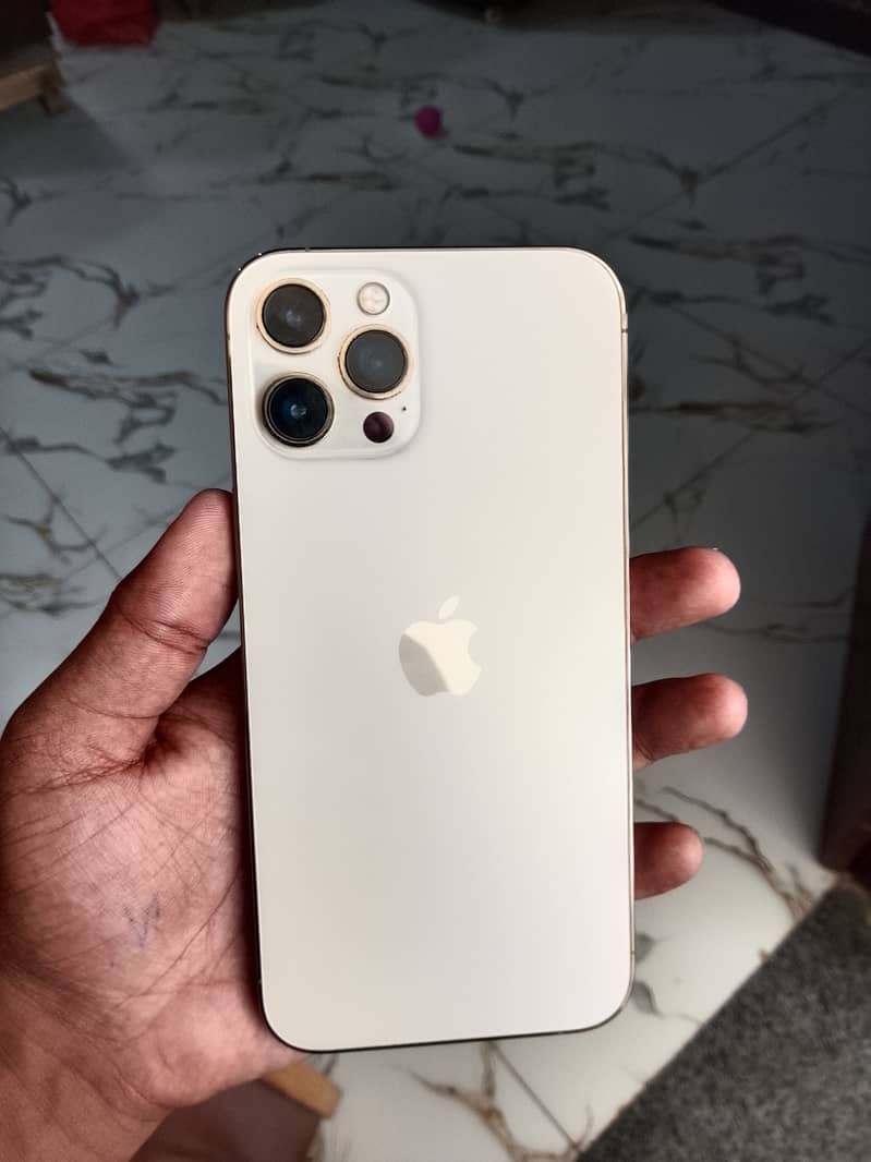 Apple iPhone 12 Pro Max 0