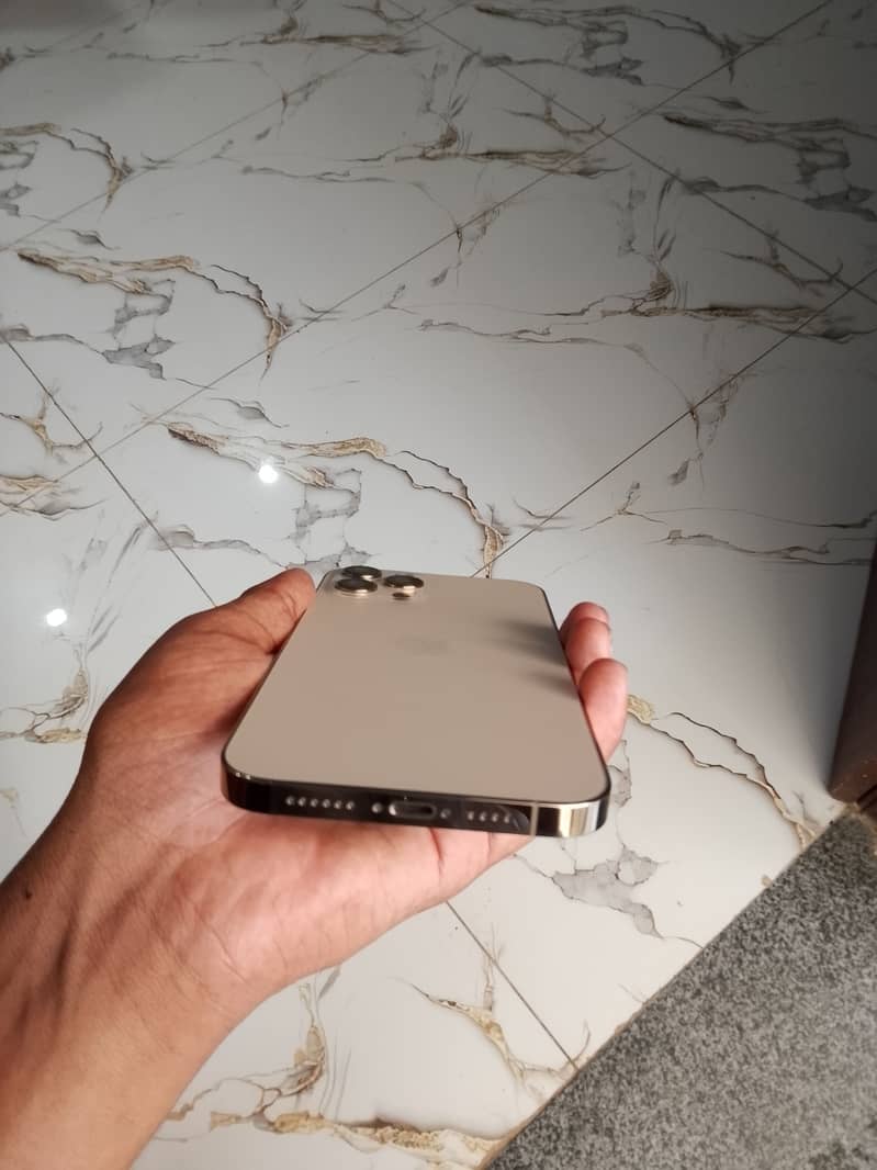 Apple iPhone 12 Pro Max 3