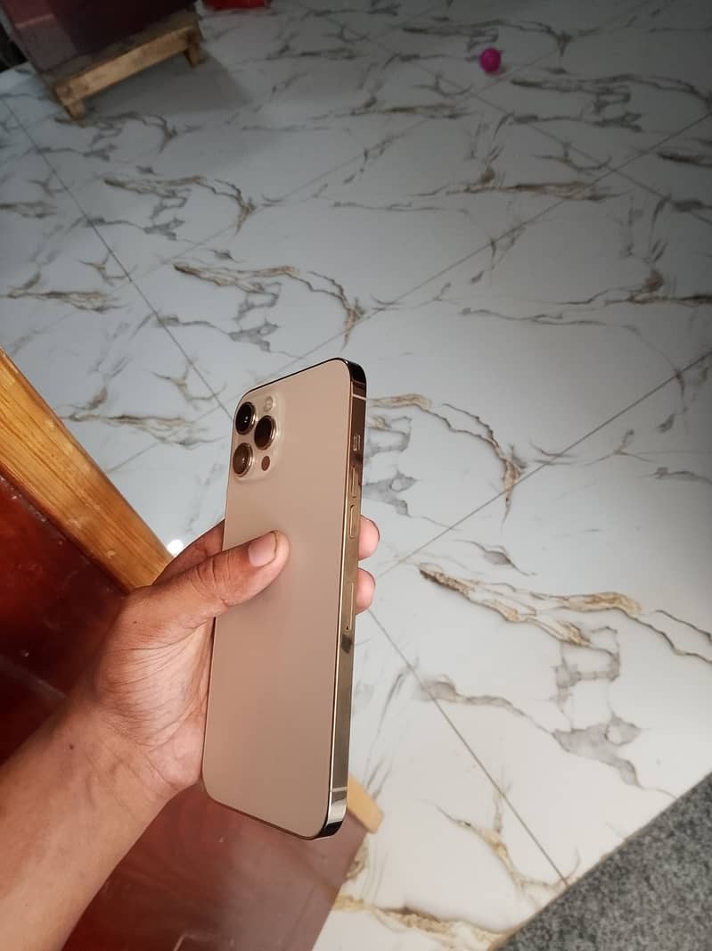 Apple iPhone 12 Pro Max 5