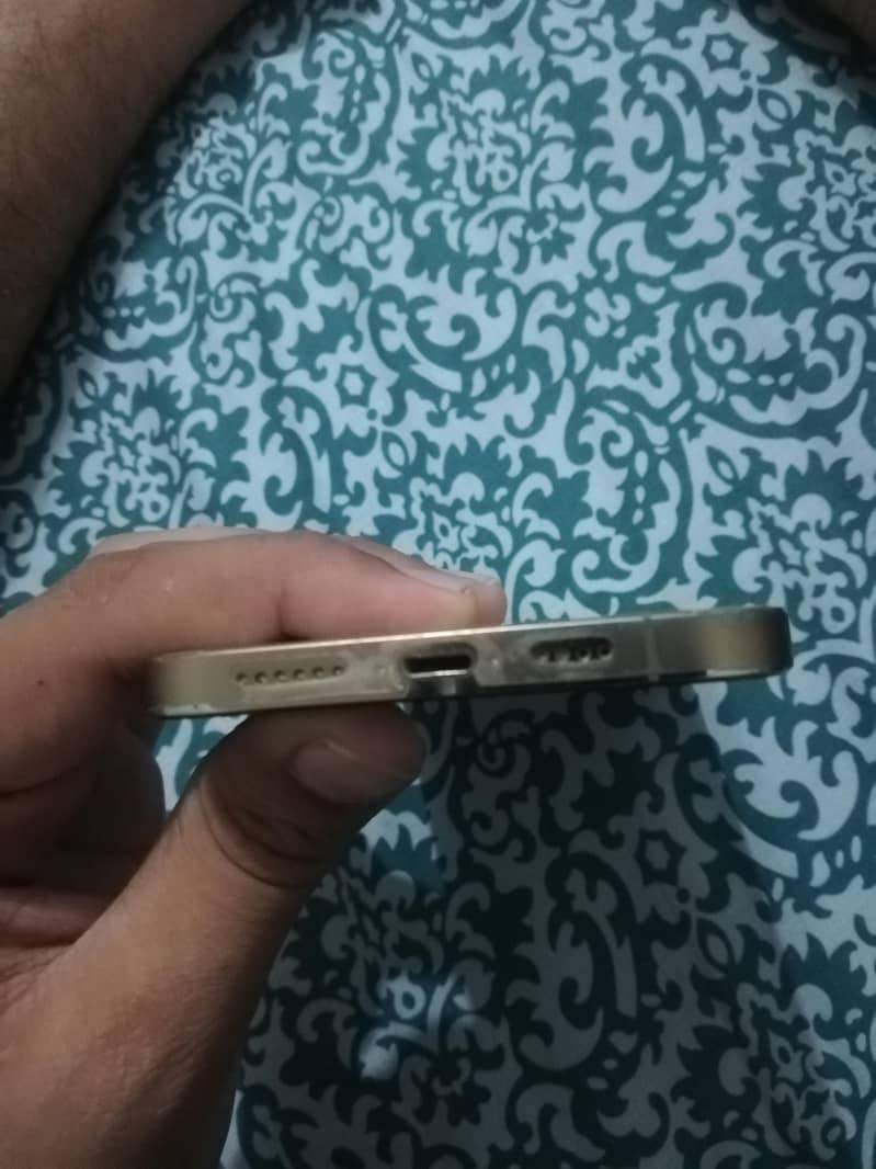 Apple iPhone 12 Pro Max 1