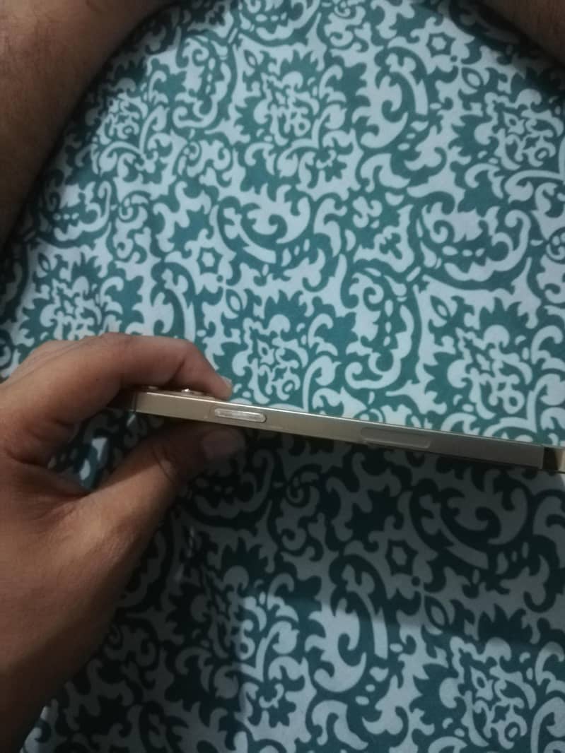 Apple iPhone 12 Pro Max 2