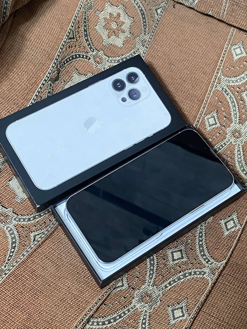 Apple iPhone 13 Pro Max 1