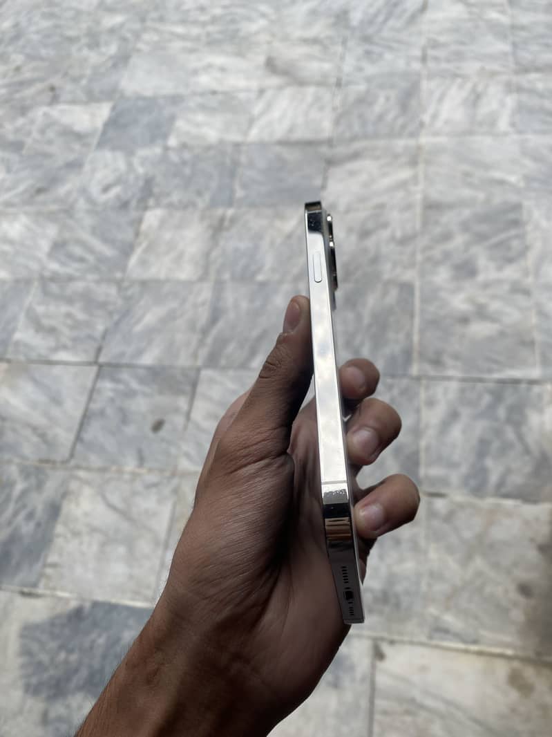 Apple iPhone 13 Pro Max 3