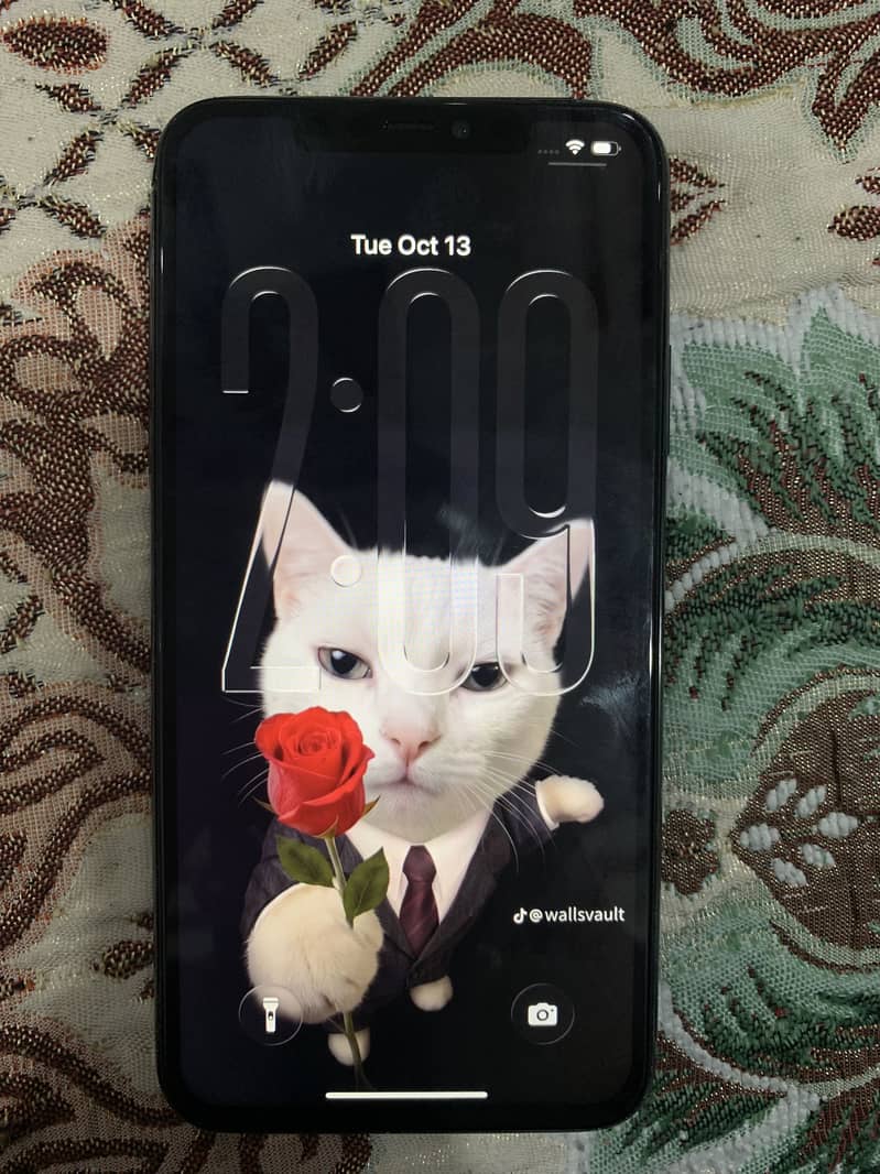 Apple iPhone 11 pro max 3