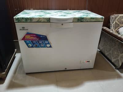 Dawlanc deep freezer