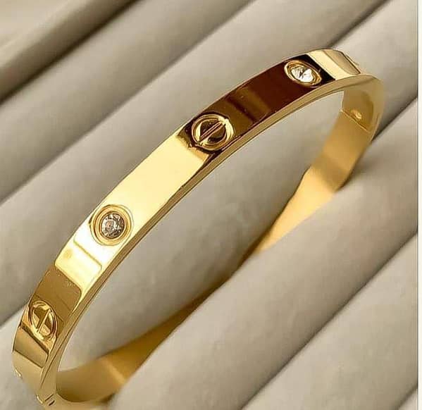 Stainless steel stone bangle/bracelet