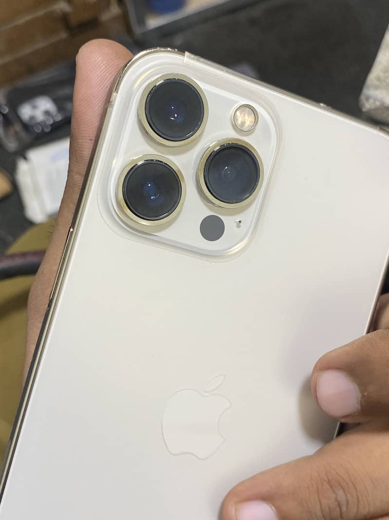 Apple iPhone 13 Pro Max 1
