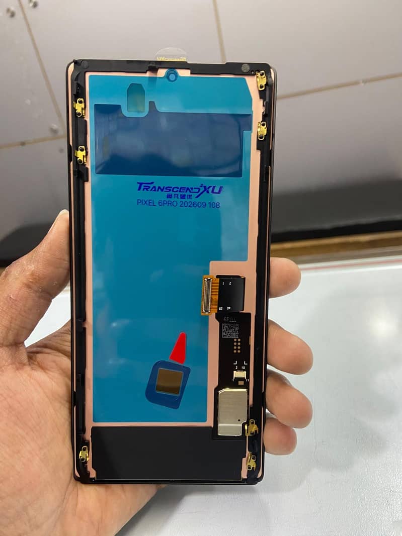 Google Pixel 6 Pro OLED panal 1