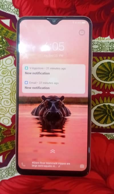 Vivo S1 pro