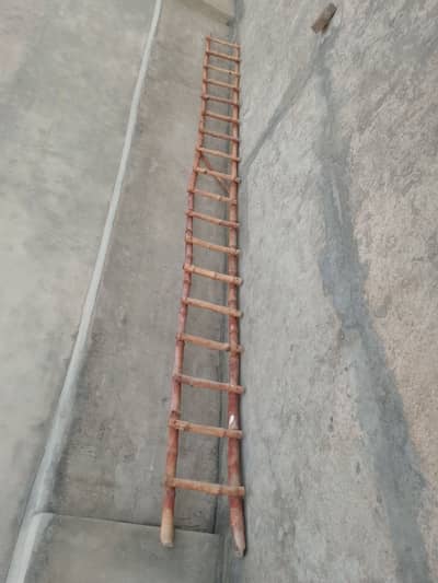 20ft Ladder for Sale