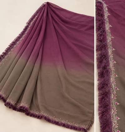 Elegant Ombree Saree with Beautiful Border Work