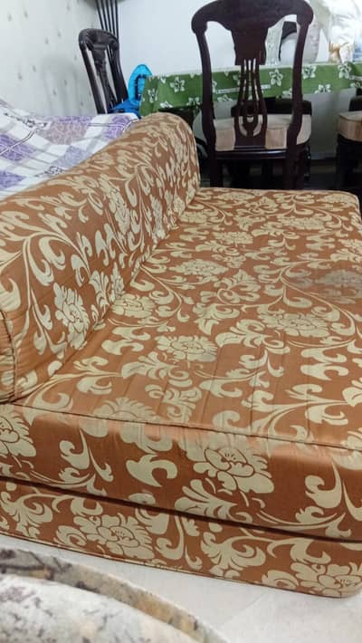 Sofa Cum Bed