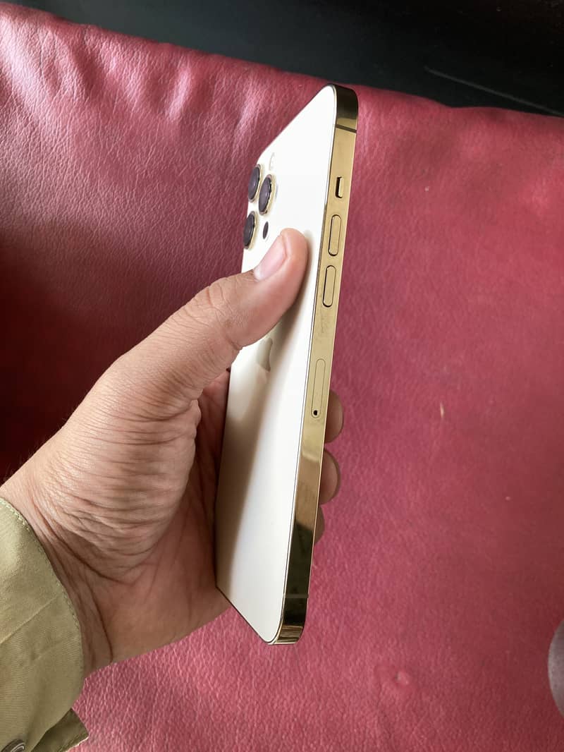 Apple iPhone 12 Pro Max 1