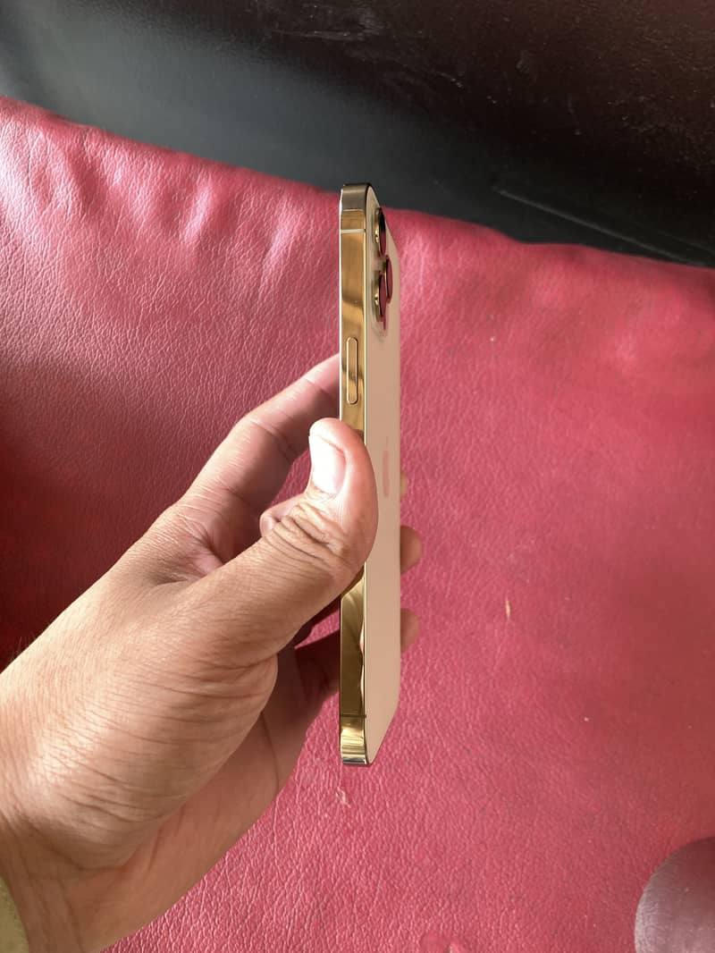 Apple iPhone 12 Pro Max 2