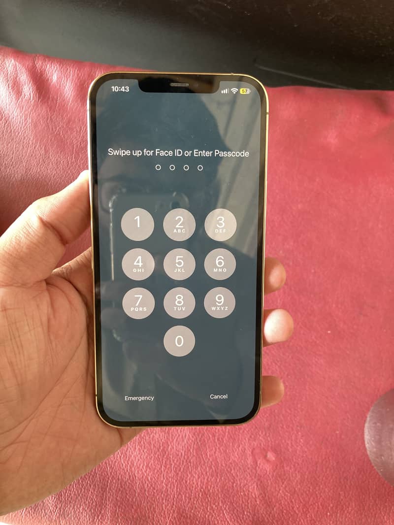 Apple iPhone 12 Pro Max 4