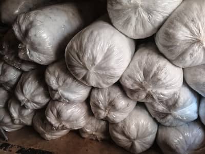 BAAL FIBER AVAILABLE HOLSEL PRIES