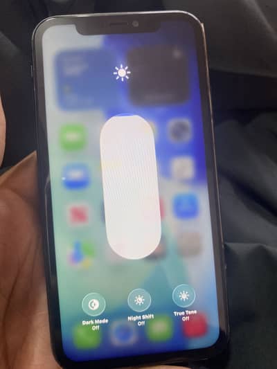 Apple iPhone 11 Face ID True Tone oky