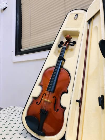 violin