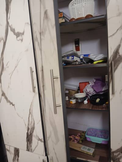 Amira , divider