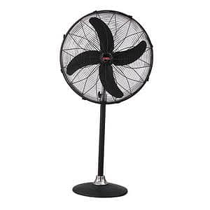 Pedestal fan for sale