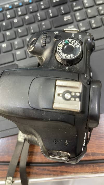 D 1200