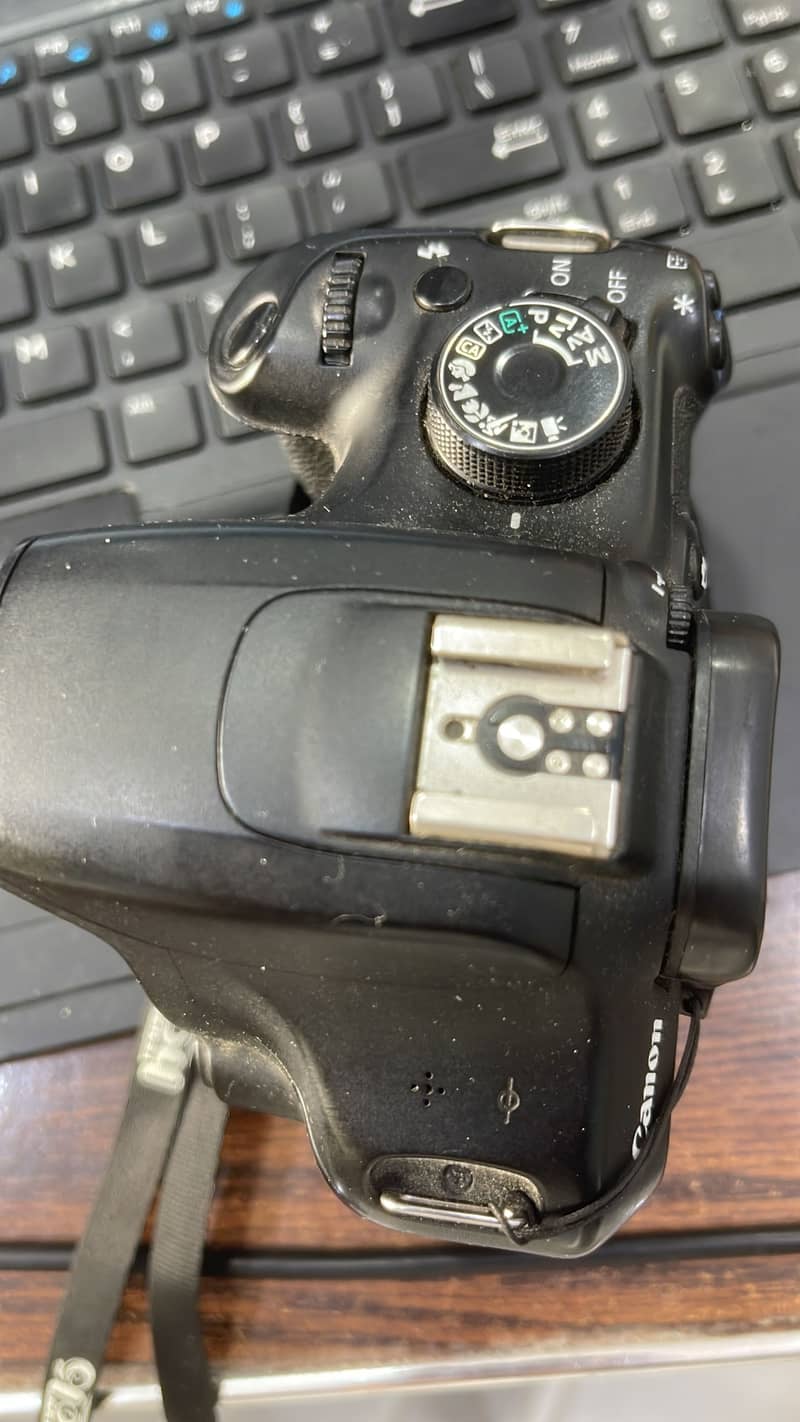 D 1200 0