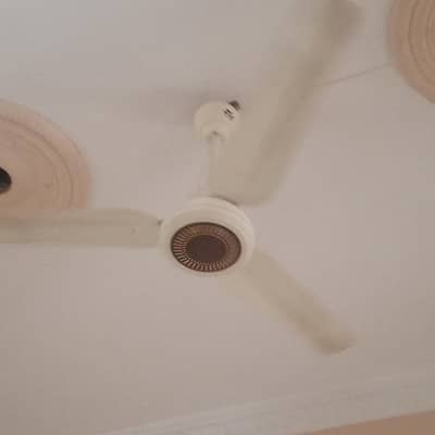 fan in good Condition
