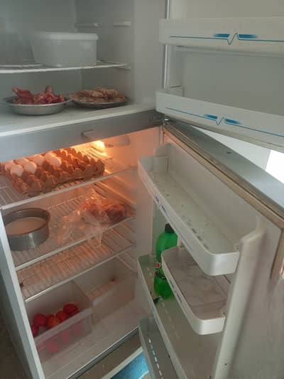 Haier refrigerator used for 10 years