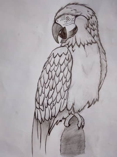 Handmade Pencil Sketch Art