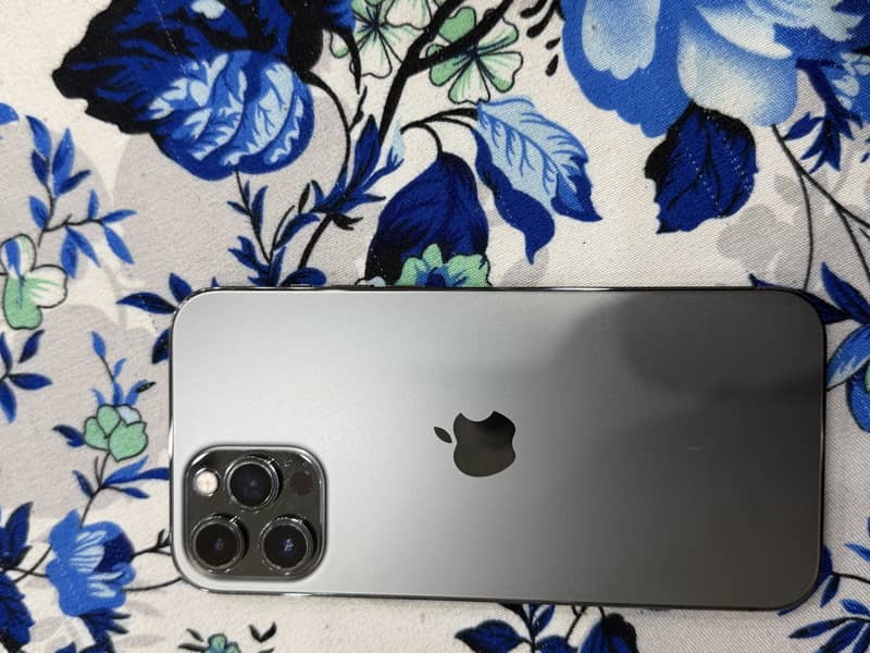 Apple iPhone 12 Pro Max 2