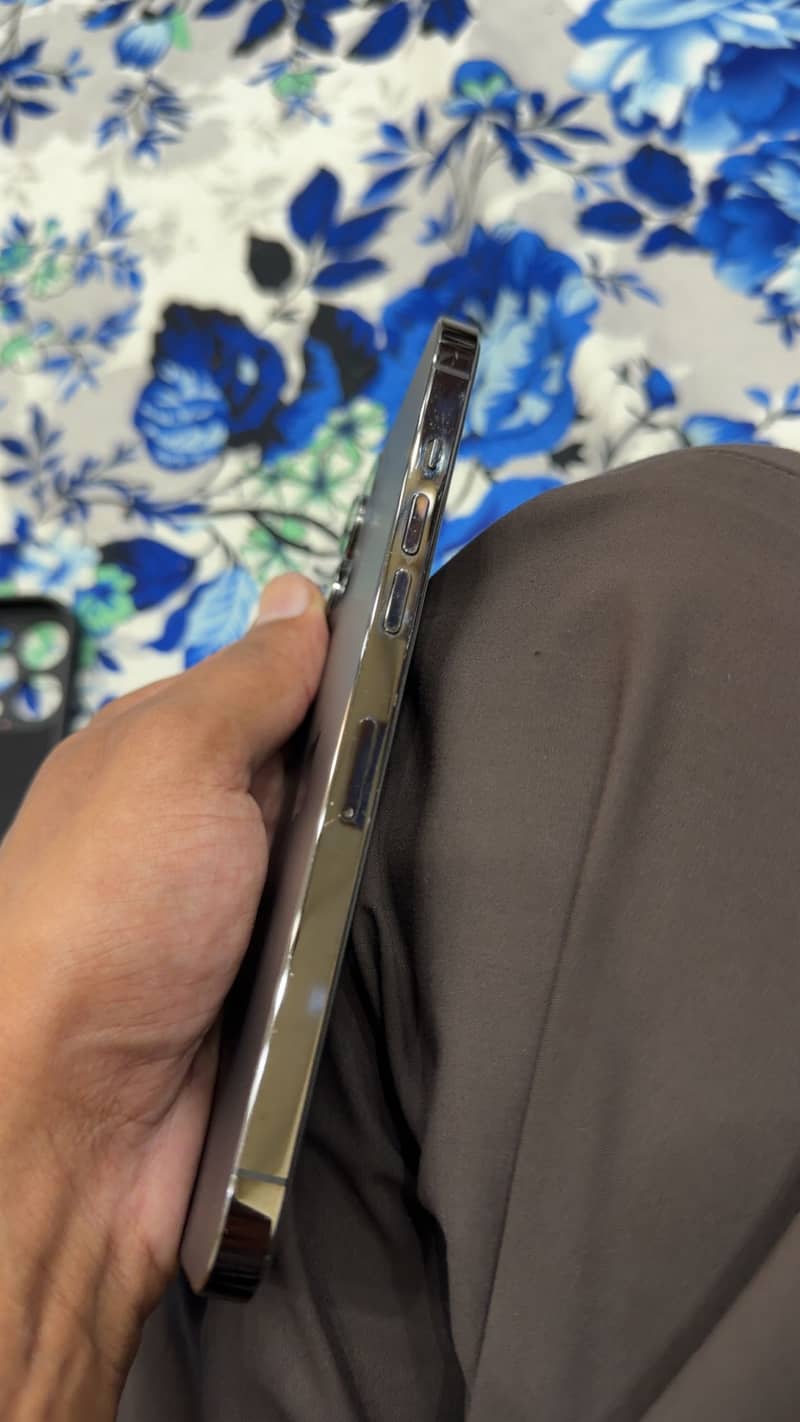Apple iPhone 12 Pro Max 9
