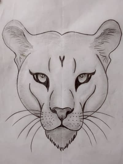 Handmade pencil sketch art