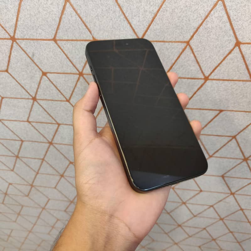 Apple iPhone 15 Pro Max 1