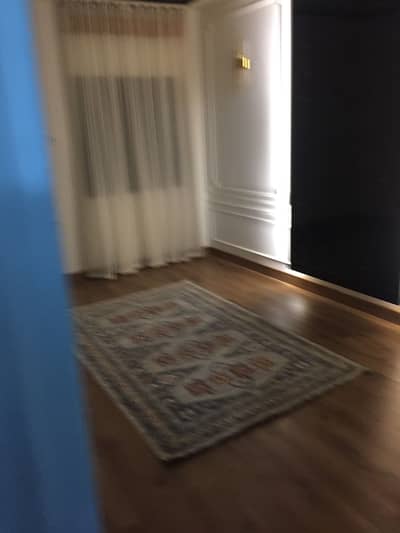 Turkish Rug 10/10